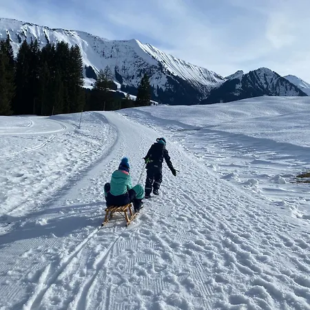 Alpenpension Elferblick Hirschegg (Vorarlberg)