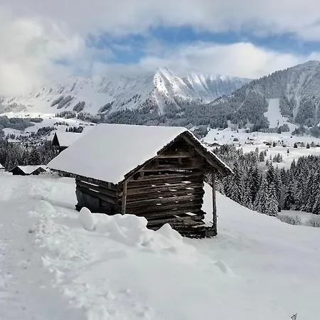 Alpenpension Elferblick * Hirschegg (Vorarlberg)