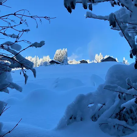 Alpenpension Elferblick Appartement