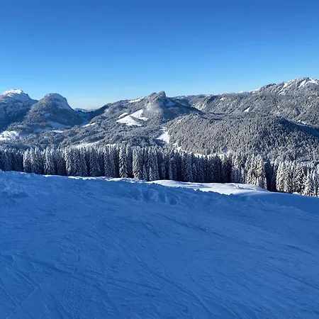Appartement Alpenpension Elferblick Hirschegg (Vorarlberg)