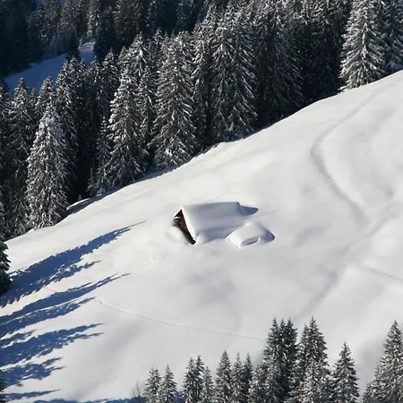 Apartment Alpenpension Elferblick *