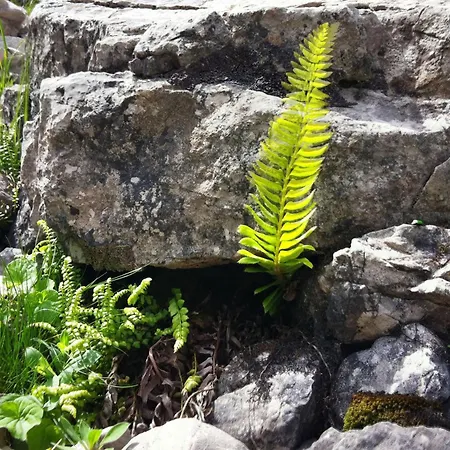 Alpenpension Elferblick * Hirschegg (Vorarlberg)