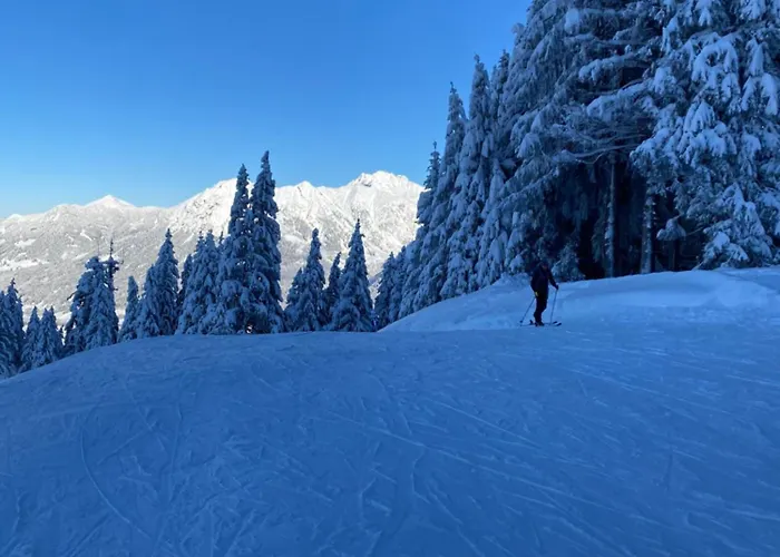 Appartement Alpenpension Elferblick *