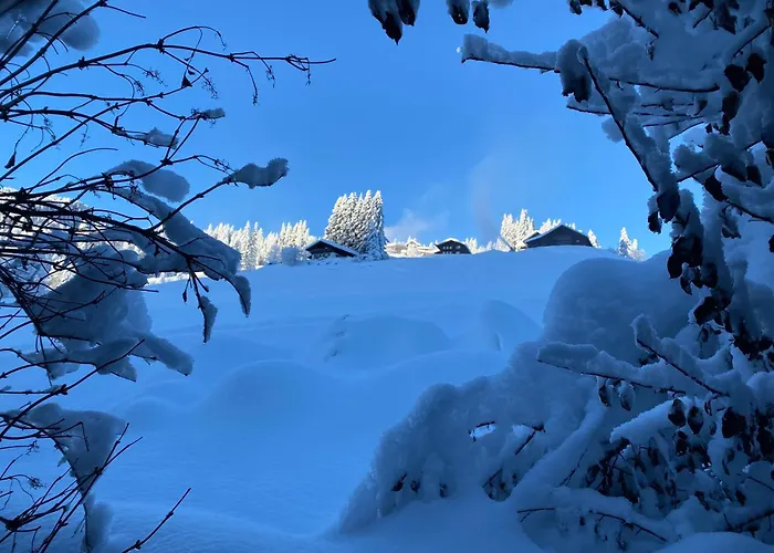 Alpenpension Elferblick Appartement