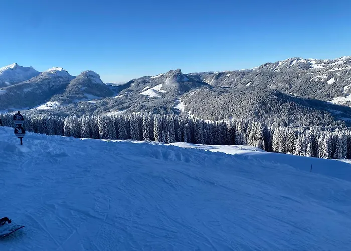 Appartement Alpenpension Elferblick Hirschegg (Vorarlberg)
