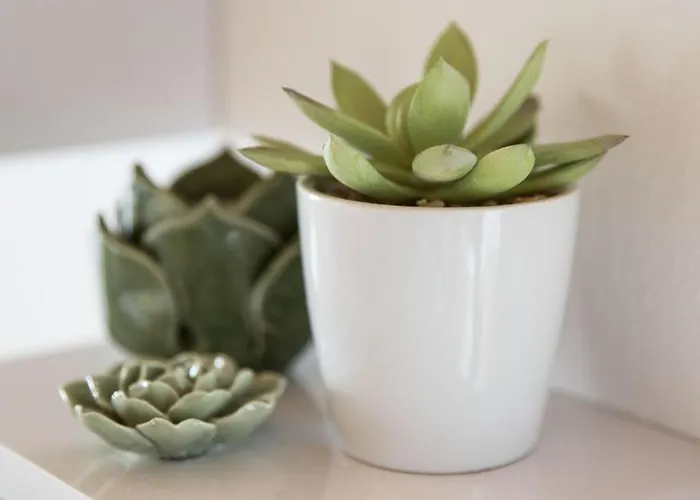 Alpenpension Elferblick