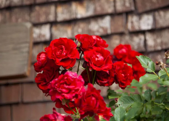 Alpenpension Elferblick *